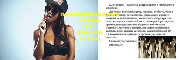 ешки Абдулино