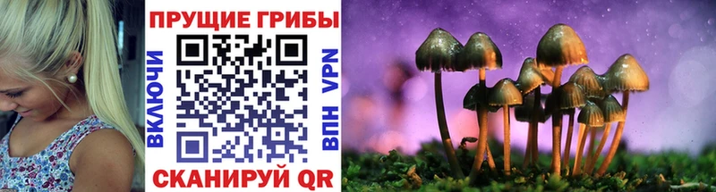 купить наркоту  Азов  Псилоцибиновые грибы ЛСД 